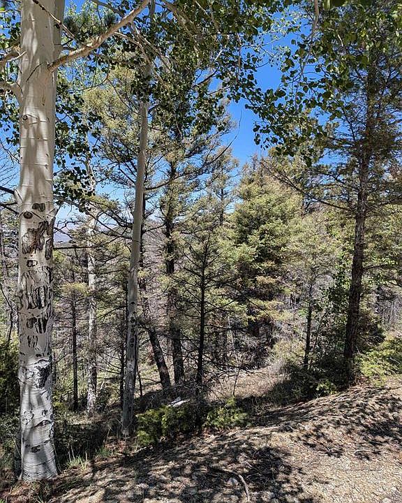 1st image of LOT 5701 Dettman Road