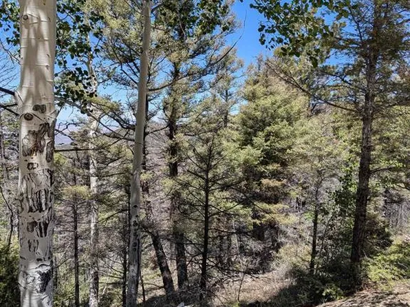 LOT 5701 Dettman Road, Fort  Garland, CO 81133