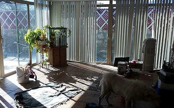 3rd image of 5628 Fairbanks Dr