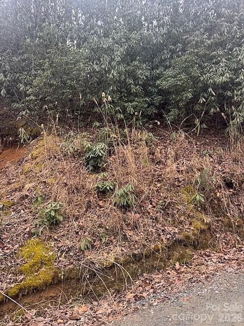 2nd image of 0 Benton Dr