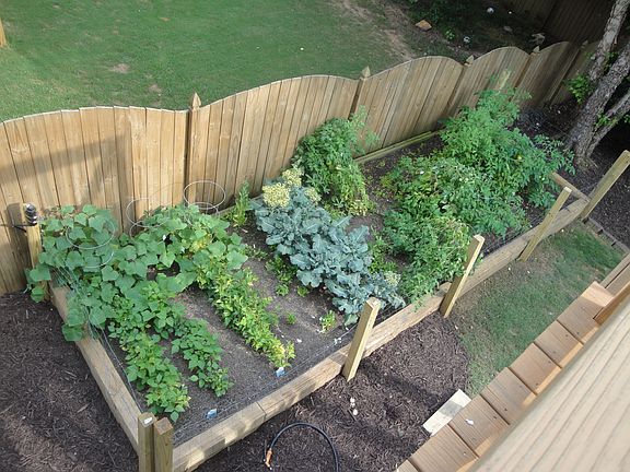Raised bed garden!