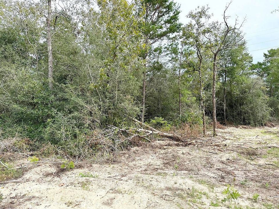 2nd image of 2 E Daisy Ln