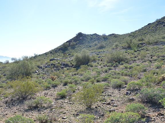 NE Corner Looking SE