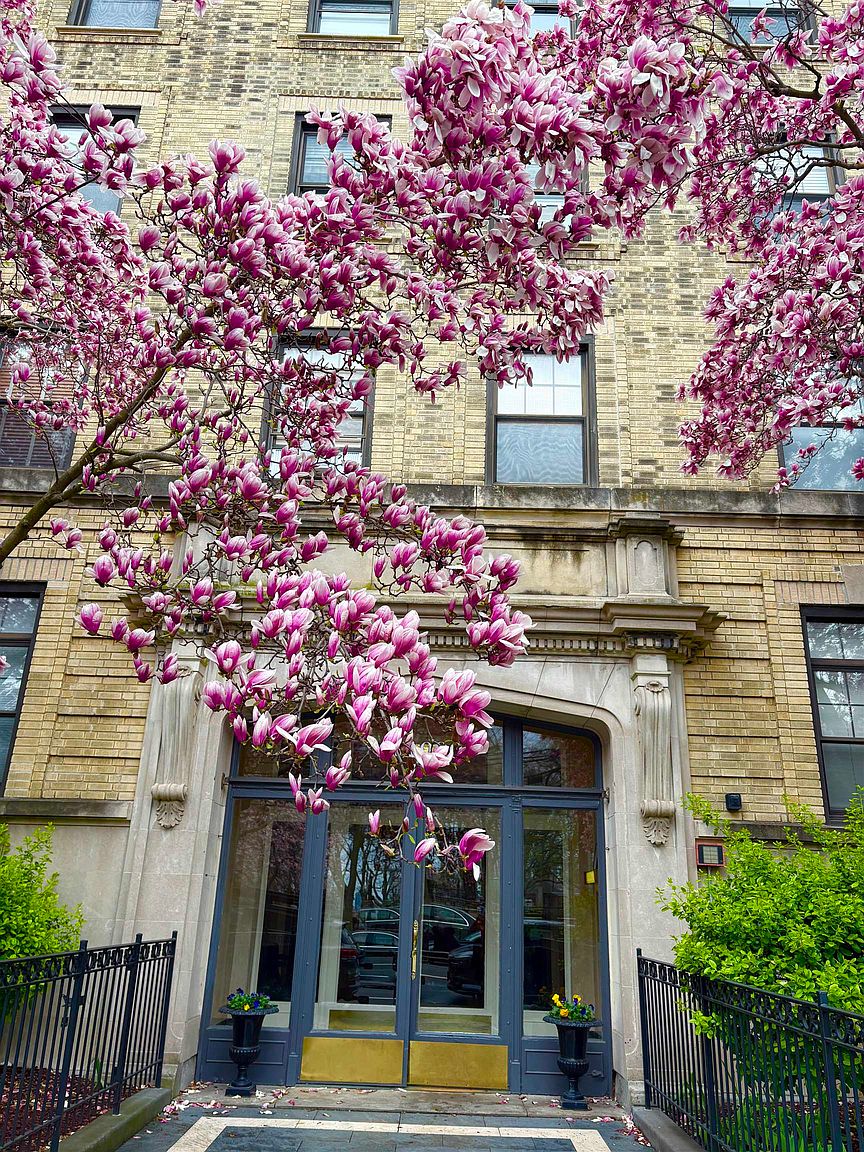 Home with bright interiors and well-maintained exterior