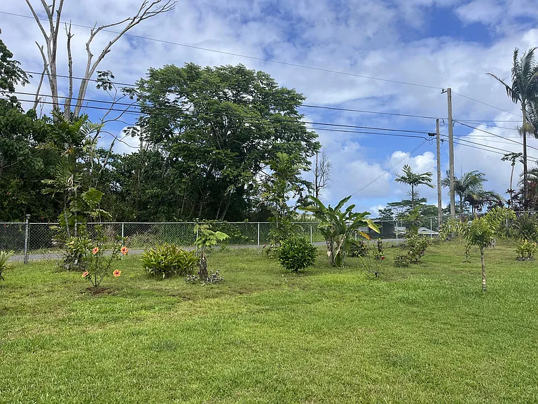 Fully fenced yard with ornamental and fragrant plantings in the front yard