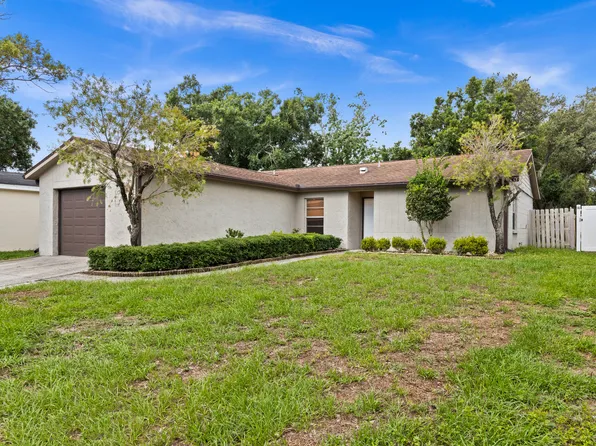 11503 Smokethorn Dr, Riverview, FL 33579