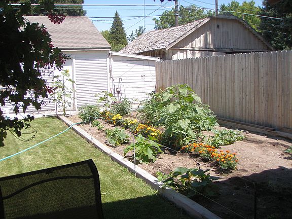 vegetable garden area
