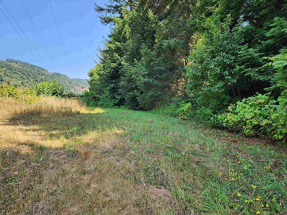 5th image of 0 Skookum Ln