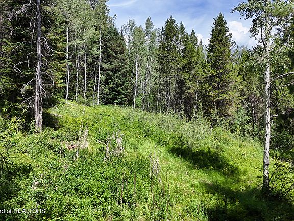 4th image of 5980 Syringa Dr
