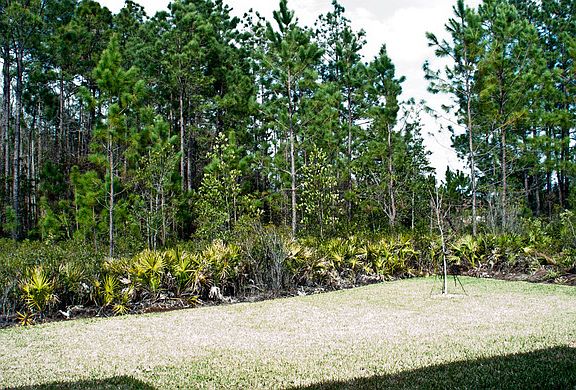 The Northgate Backyard