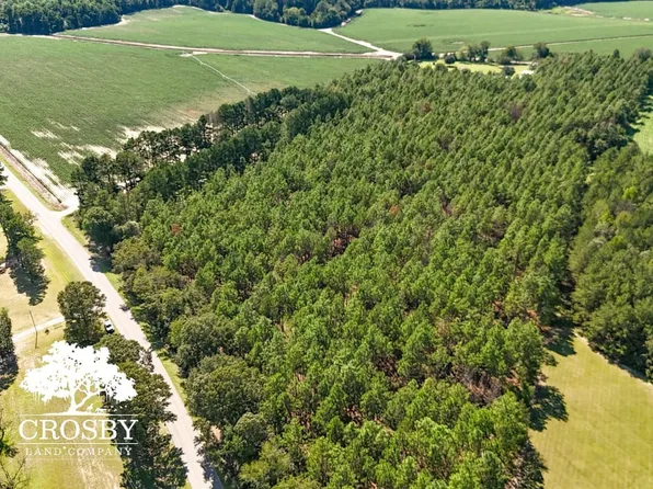 Rocky Ford Rd, Rocky Ford, GA 30455