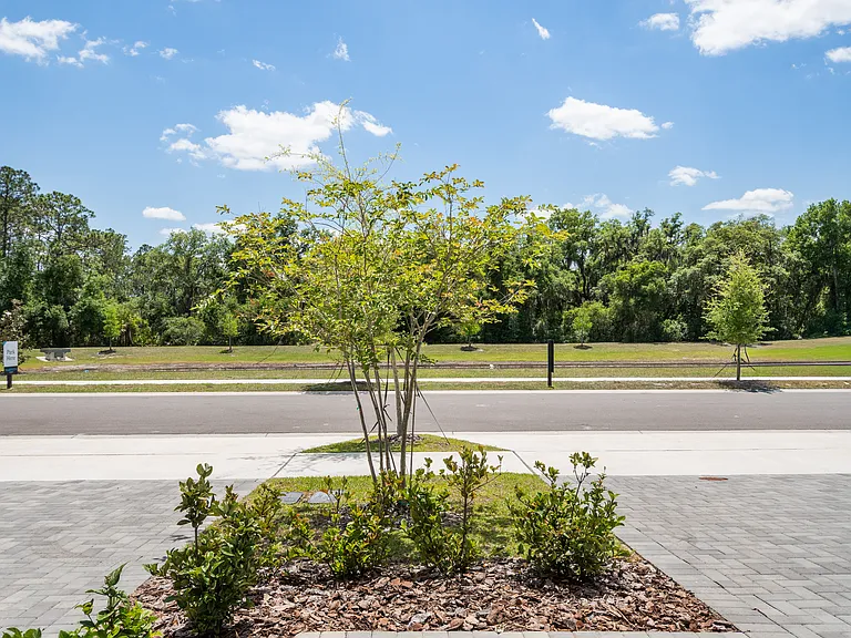 5273 Luisa Ct — Photo 48