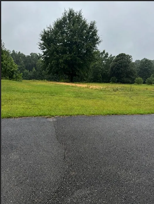 1 bed, 100 sqft, $350 — Photo 1