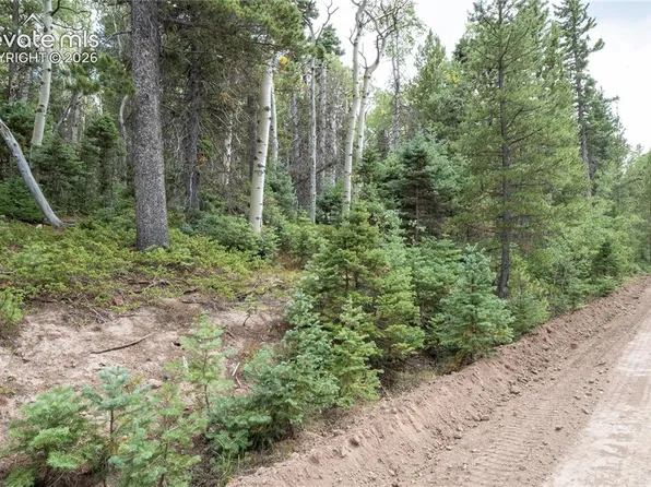 2660 Speciale Pl, Fort Garland, CO 81133