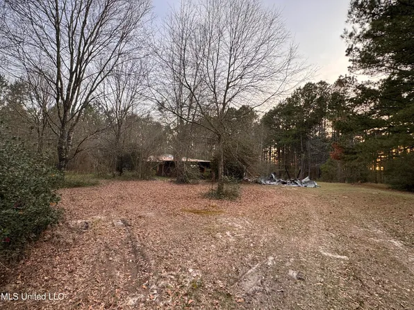 17 Melni Smith Rd, Lumberton, MS 39455