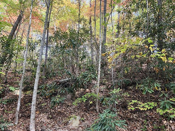 2nd image of LOT 11 Bluff Mountain Rd #11