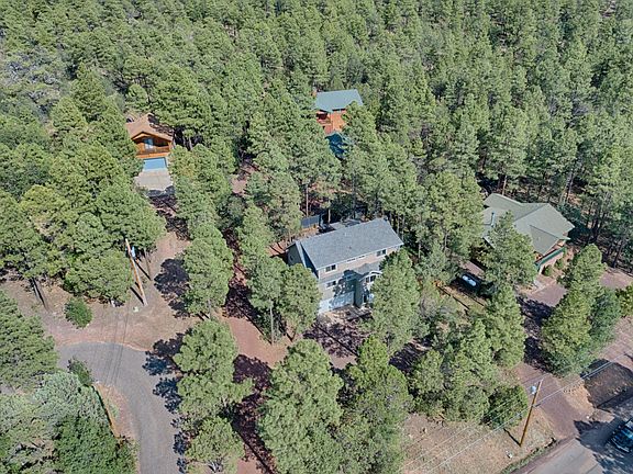 surrounded by trees!
