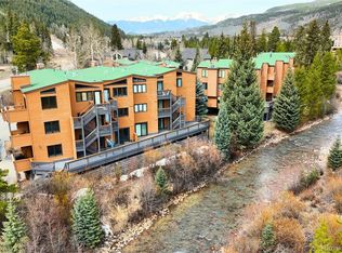 1513 E Keystone Rd BUILDING D-2964, Dillon, CO 80435
