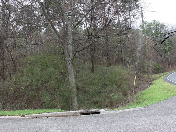 4th image of 50 Hickory Hills Ln #50