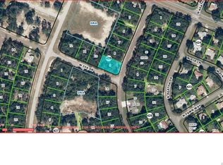 2931 W Camilo Dr, Citrus Springs, FL 34434