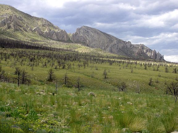 3rd image of Nhn Ranger Way