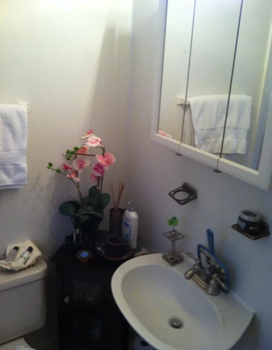 1 bed, 850 sqft, $1,050 — Photo 3