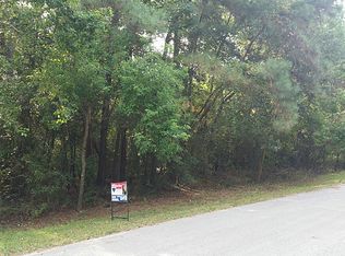 21049 S Navasota Dr, New Caney, TX 77357