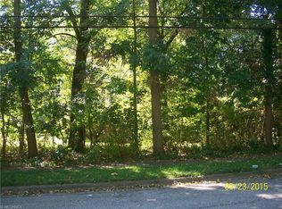 Vine St, Kent, OH 44240