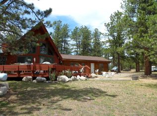 9171 County Road 98, Lake George, CO 80827