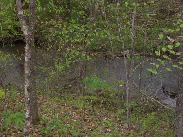 0 Sycamore Cir, Sneedville, TN 37869