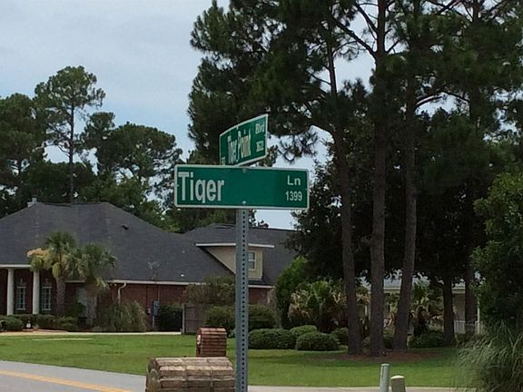 5th image of 1310 Tiger Ln