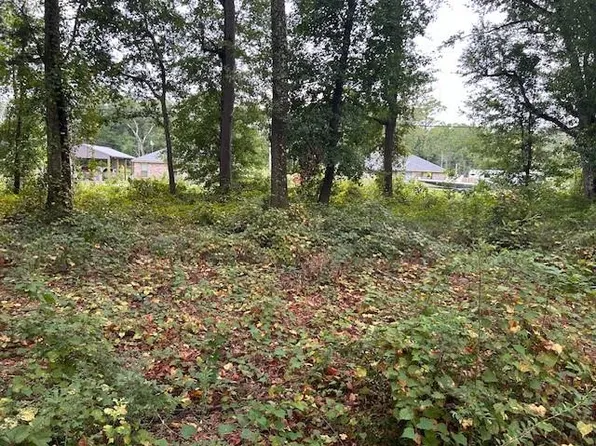 0 Dauphin Island Pkwy, Theodore, AL 36582