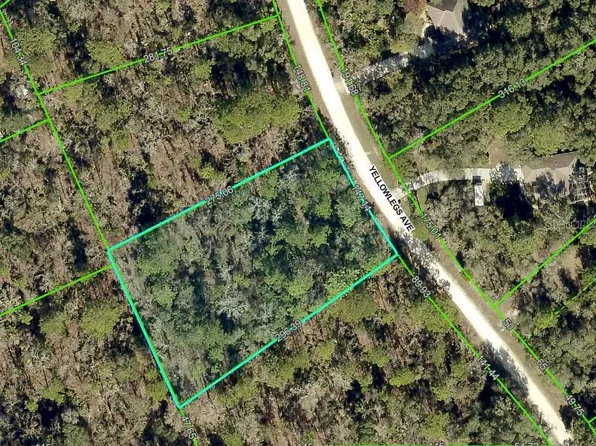 10520 YELLOWLEGS AVENUE LOT 11, WEEKI WACHEE, FL 34614