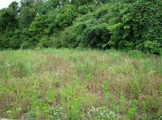204 Chronicles Dr, Medina, TN 38355
