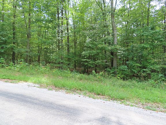 5th image of S Fork Dr