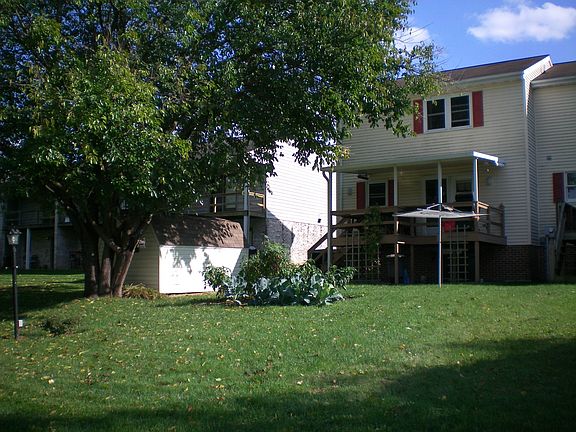 Rear View