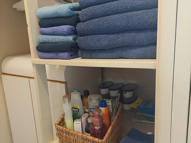 Walk in closet with shelving & smaller dresser
