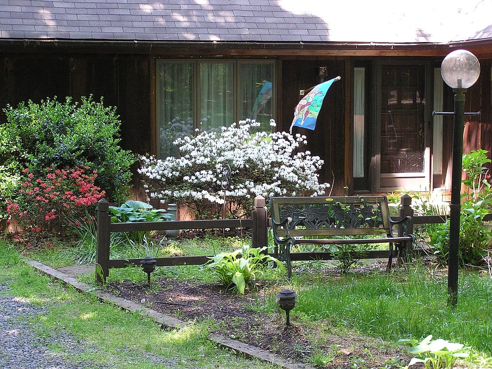 Spring in full bloom!