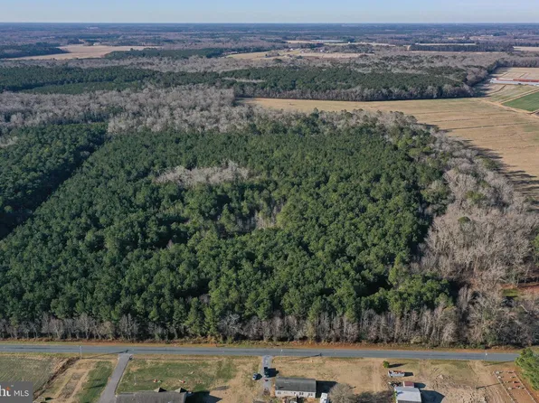 0 Bent Pine Rd, Willards, MD 21874