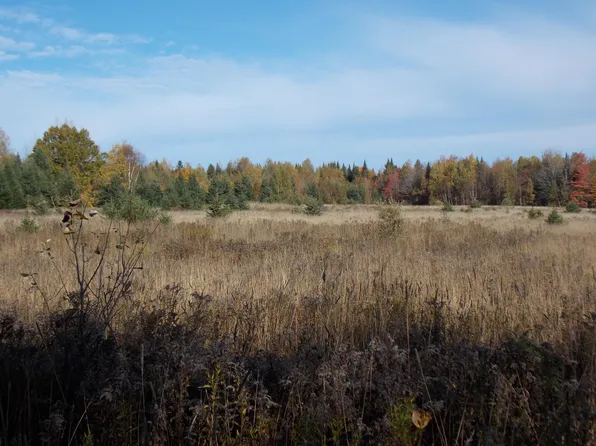 01-31C B Road, Hammond, ME 04730