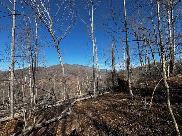 LOT 22 Fawn Rd, Bakersville, NC 28705