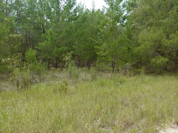 219 Switzerland St, Interlachen, FL 32148