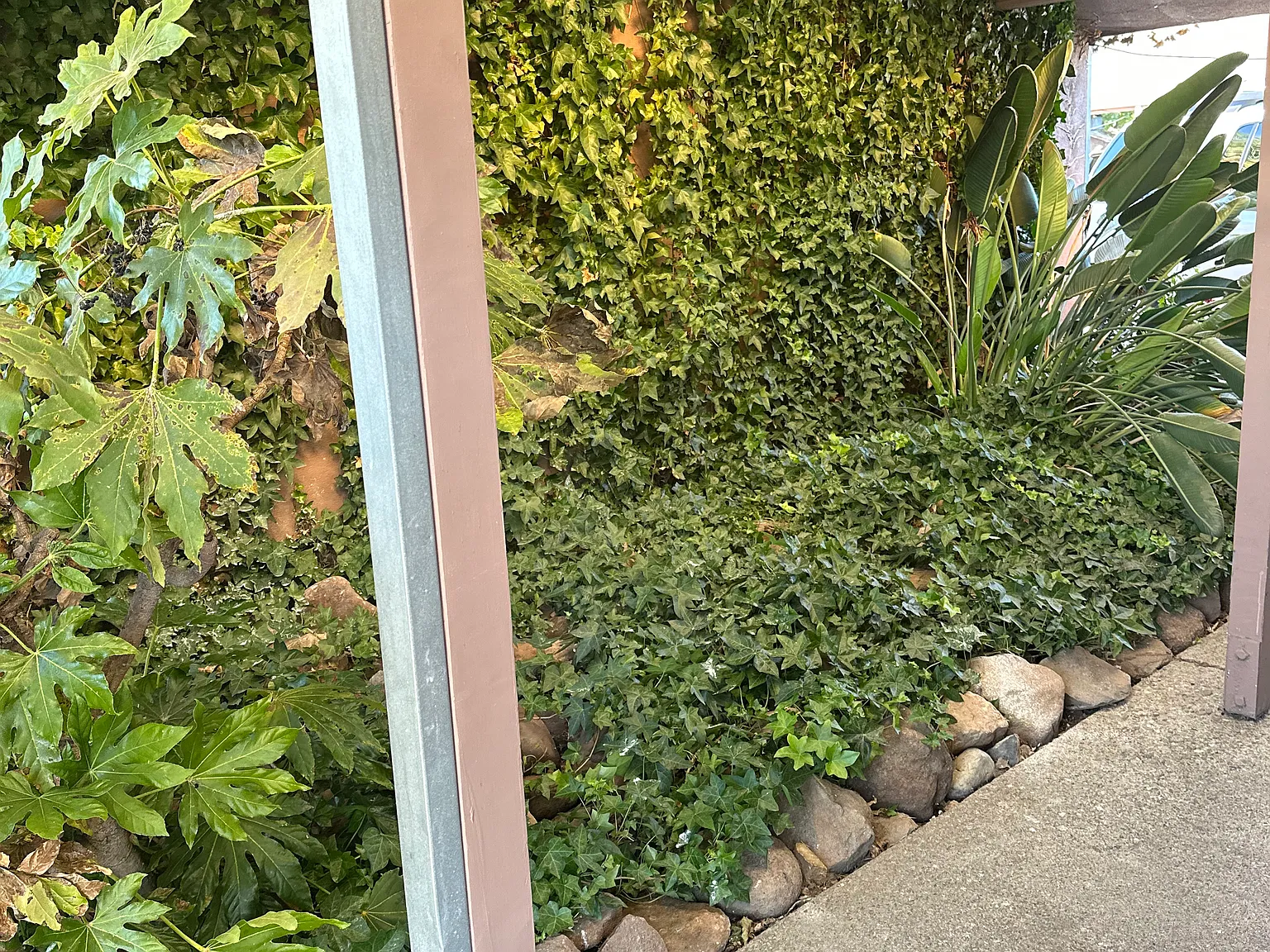 2 bed, $1,950 — Photo 4