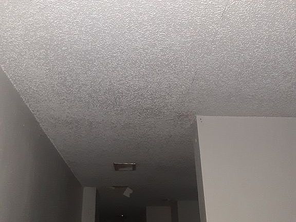4th image of 1431 McConihe St