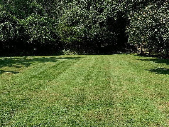 One side of backyard 