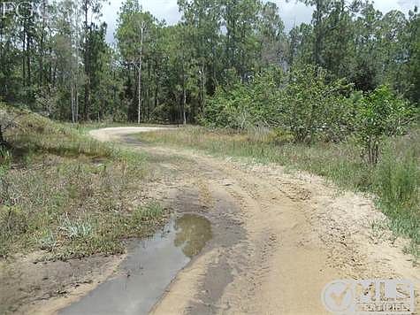Half way back into thru property ... taken after all the rains just happened .... property is dryer then most in area !