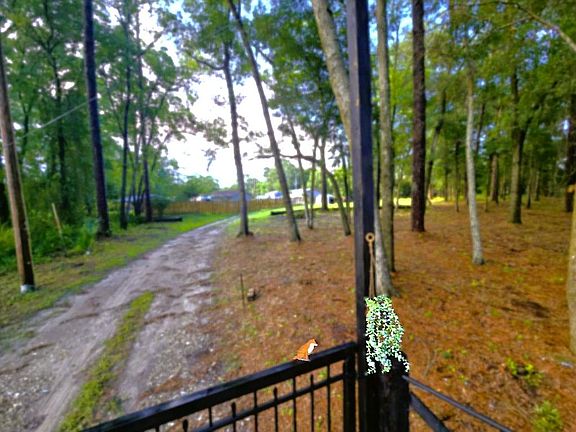 5th image of Knowles Rd