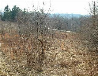 2nd image of 183 Superior Rd