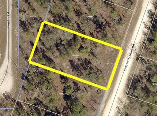 14065 Canyon Swallow Rd, Weeki Wachee, FL 34614