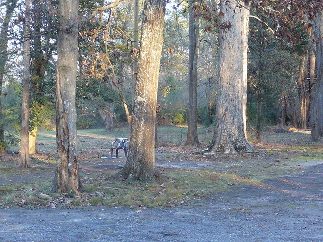 2nd image of 1909 Airline Rd